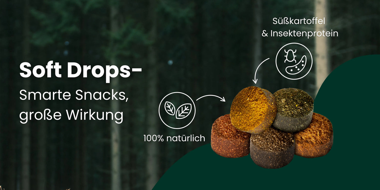 Soft Drops – smarte Snacks mit grosser Wirkung. Süsskartoffel trifft Insektenprotein. 100% natürlich.