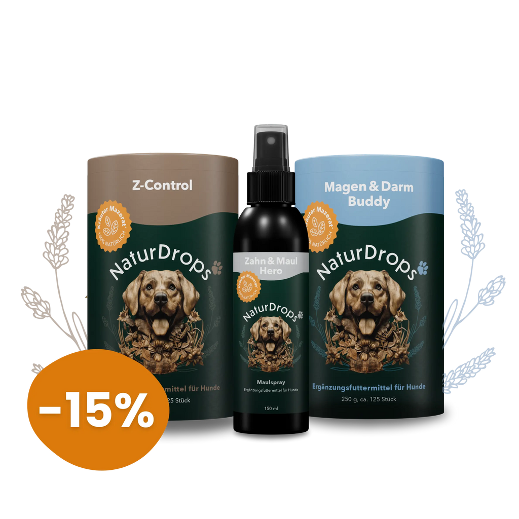 WELCOME BUNDLE SNACK & PROTECT