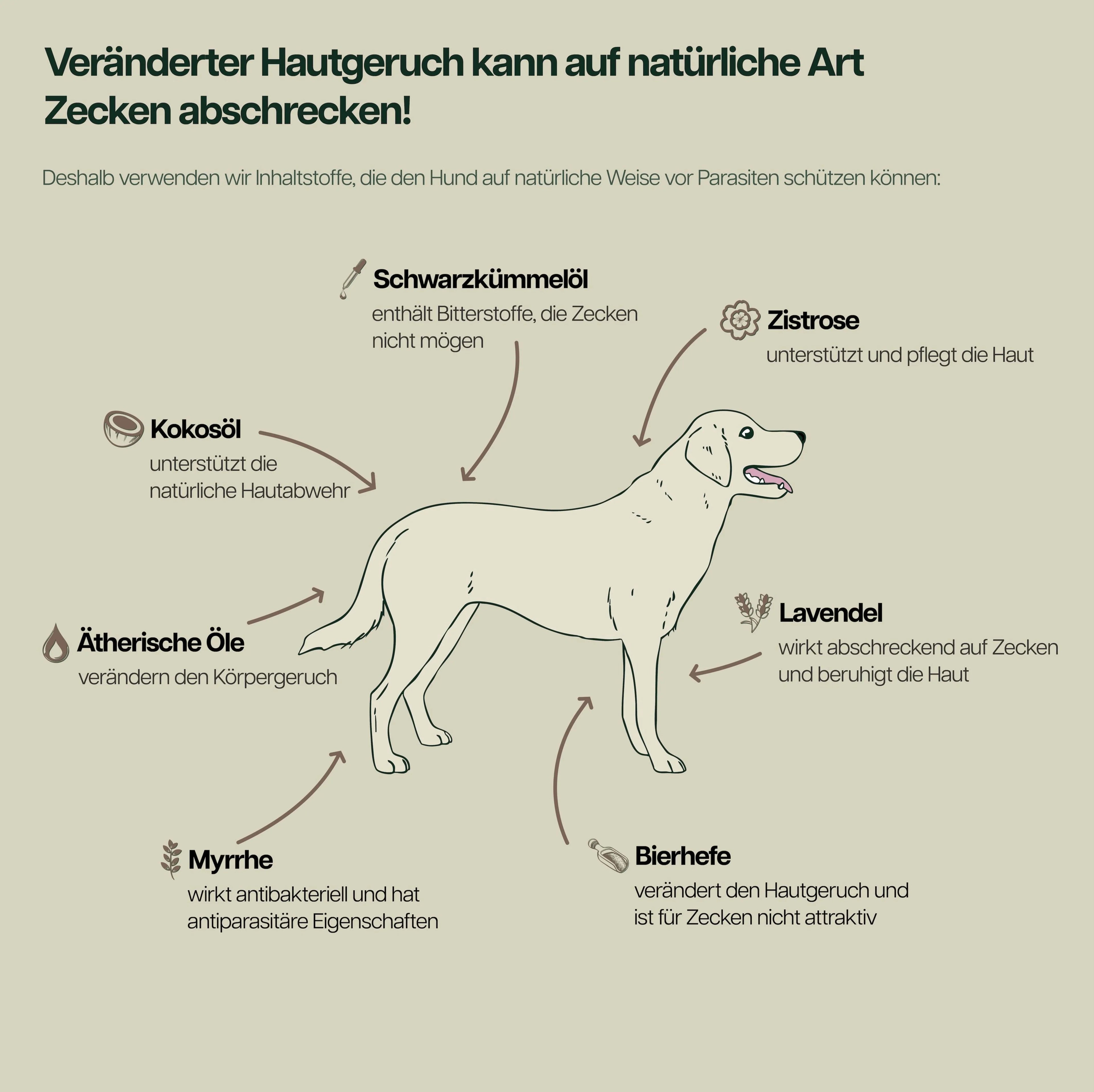 Infografik mit Hund und pflanzlichen Stoffen wie Schwarzkümmeloel, Kokosoel, Aetherische Oele, Myrrhe, Bierhefe, Lavendel und Zistrose zur natuerlichen Zeckenabwehr und Hautpflege bei Hunden.