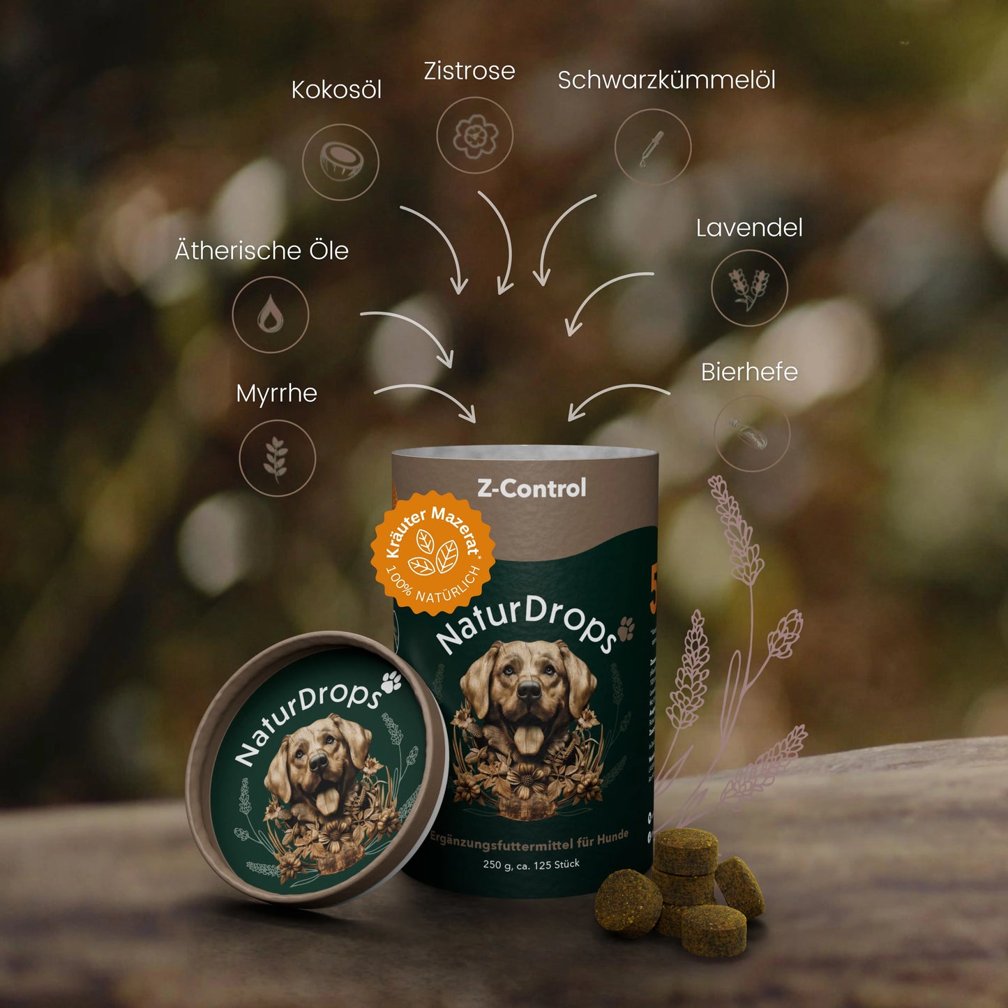 Produktabbildung von NaturDrops Z-Control – geöffnete Dose mit Hundemotiv im Vordergrund, daneben mehrere braune Drops. Grafische Darstellung der natürlichen Inhaltsstoffe: Kokosöl, Zistrose, Schwarzkümmelöl, Lavendel, Bierhefe, Myrrhe und ätherische Öle. Naturhintergrund mit Fokus auf Kräuterillustrationen.