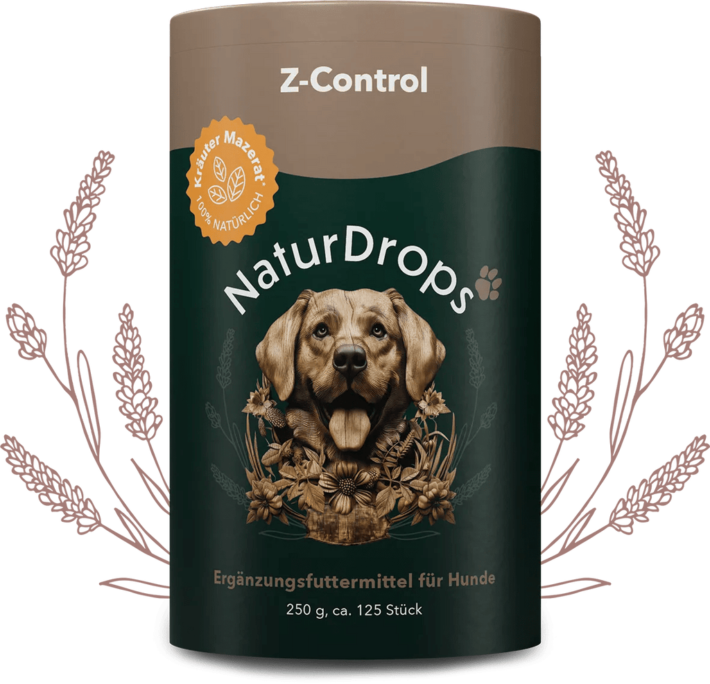 Z-Control – Natürlicher Zeckenschutz für deinen Hund