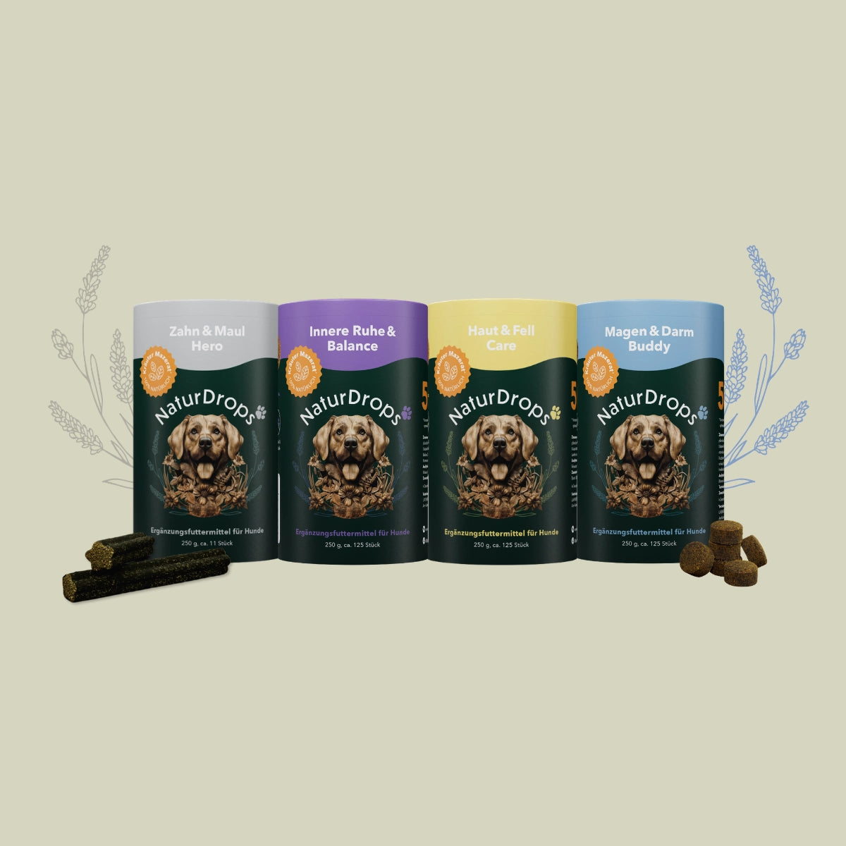 Daily Essentials Bundle für Hunde – Zahnpflege, Haut & Fell, Verdauung & innere Ruhe