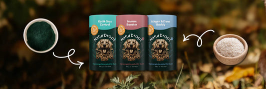 Starke Gesundheit von innen: Unsere 3 Bestseller und ihre Super-Inhaltsstoffe