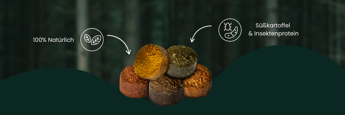 Kennst du unsere Drops? Nicht nur lecker, sondern auch praktisch unterscheidbar