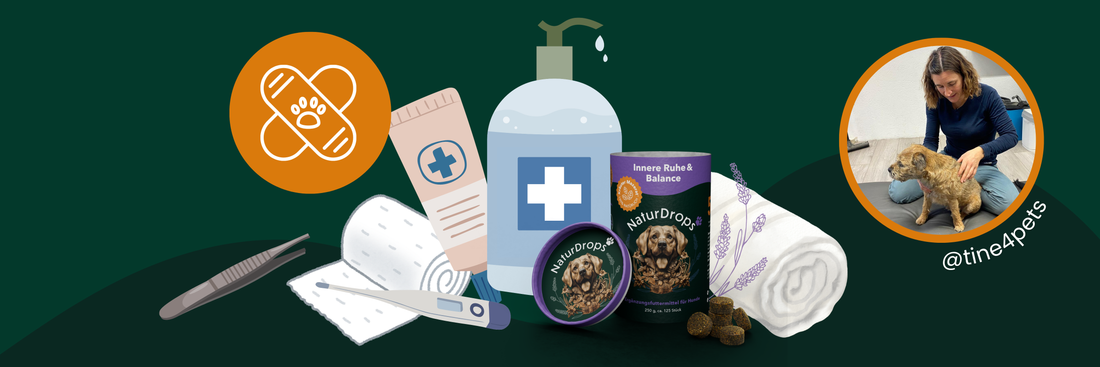 Notfallset für deinen Hund – Was darf auf keinen Fall fehlen?