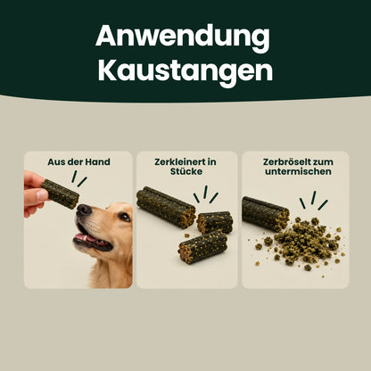Zahn & Maul Hero Kaustangen – Für die tägliche Zahn- und Maulpflege