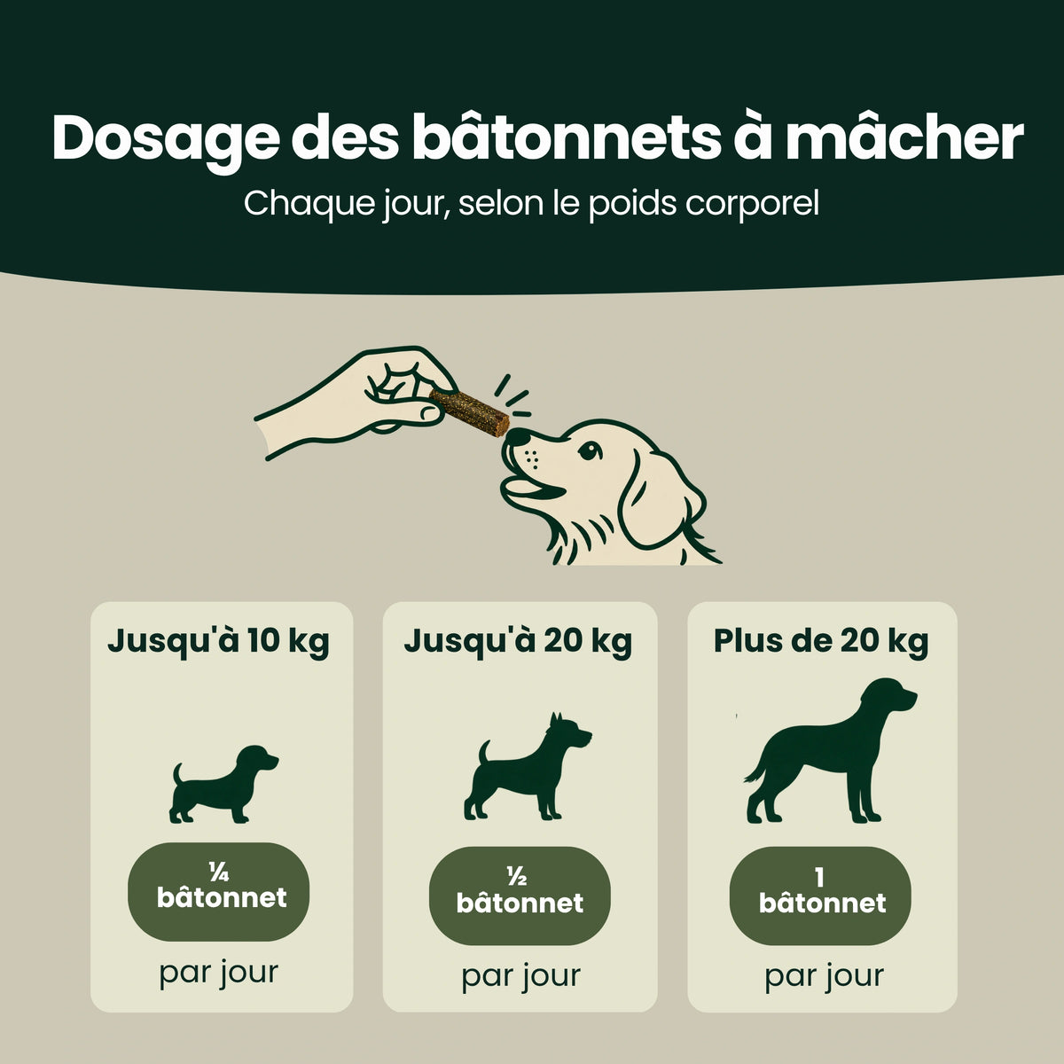 Zahn & Maul Hero Bâtonnets à mâcher – Pour les soins dentaires et bucco-dentaires quotidiens