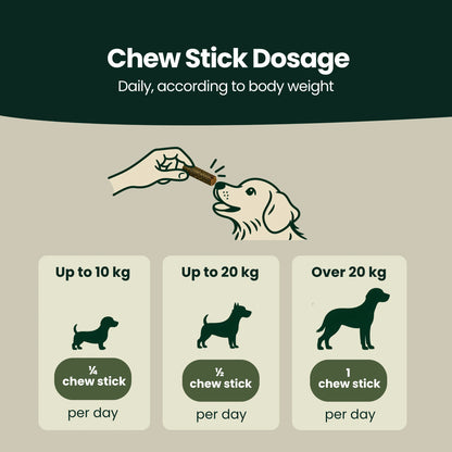 Tooth & Mouth Hero Chew Sticks – For daily dental and oral care