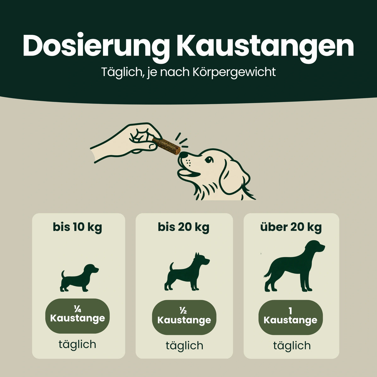 Zahn & Maul Hero Kaustangen – Für die tägliche Zahn- und Maulpflege