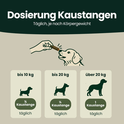 Zahn & Maul Hero Kaustangen – Für die tägliche Zahn- und Maulpflege