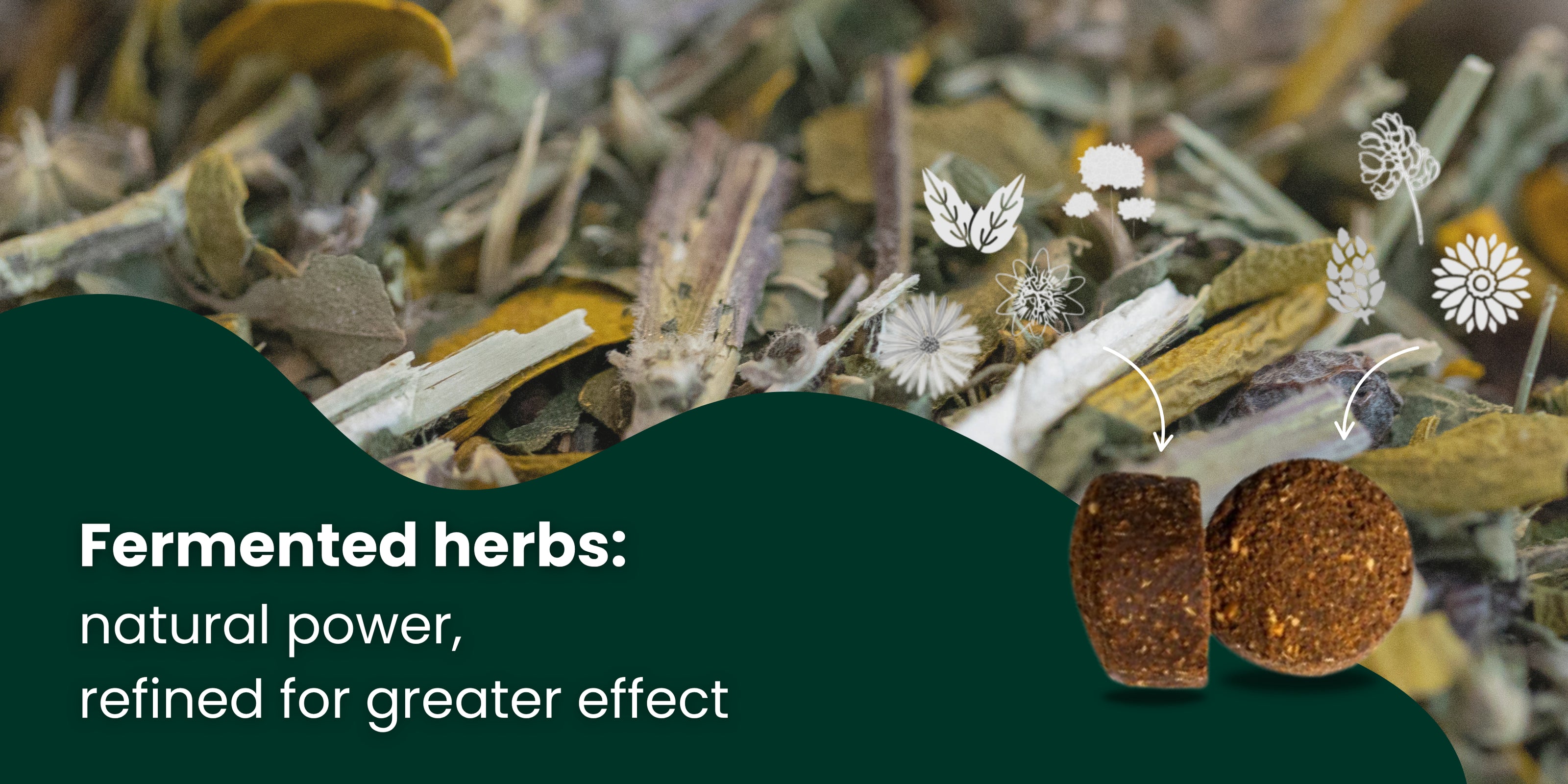 Fermented herbs – natural power for maximum effect
