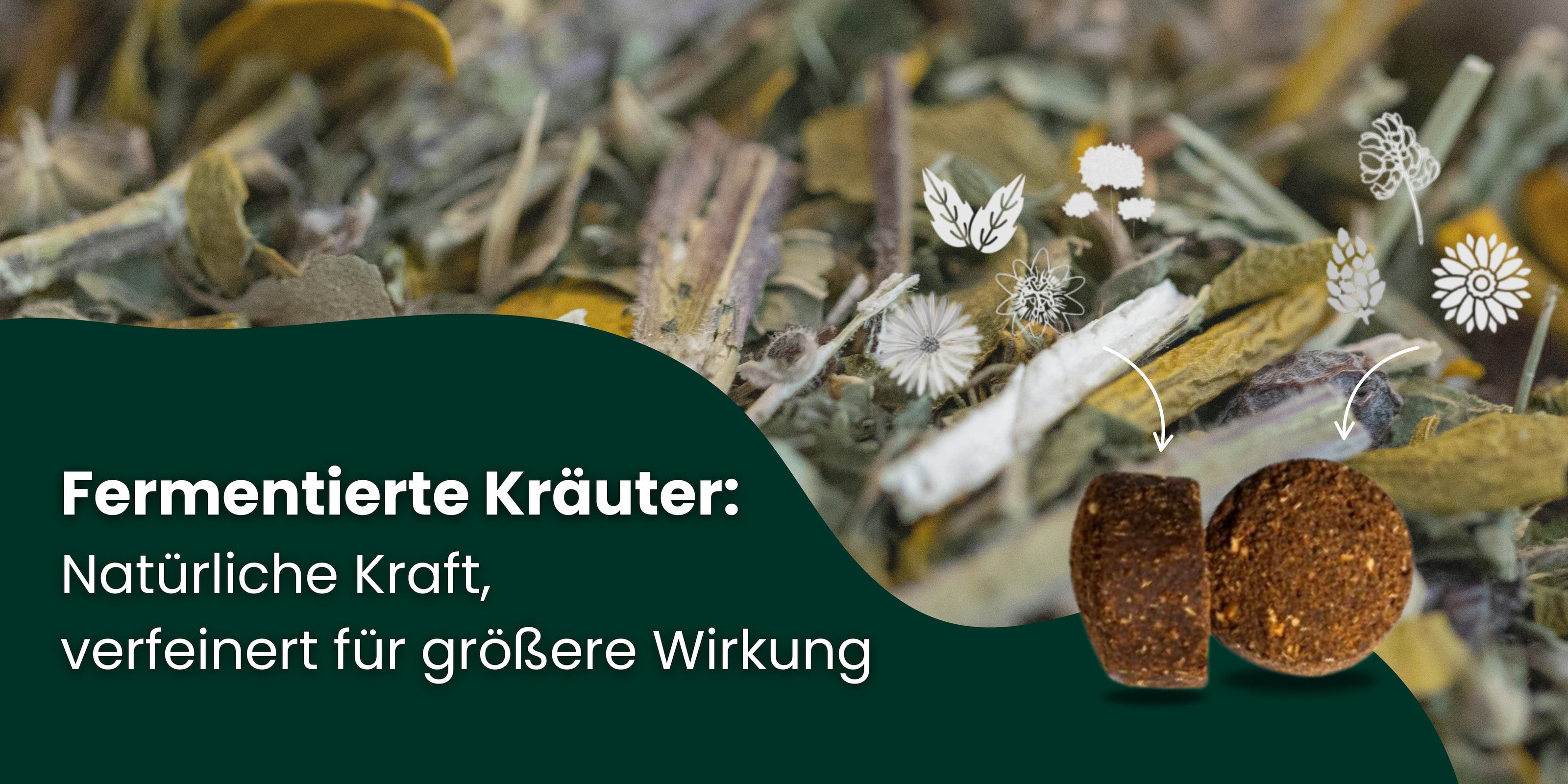 Fermentierte Kräuter – natürliche Kraft, veredelt für maximale Wirkung.