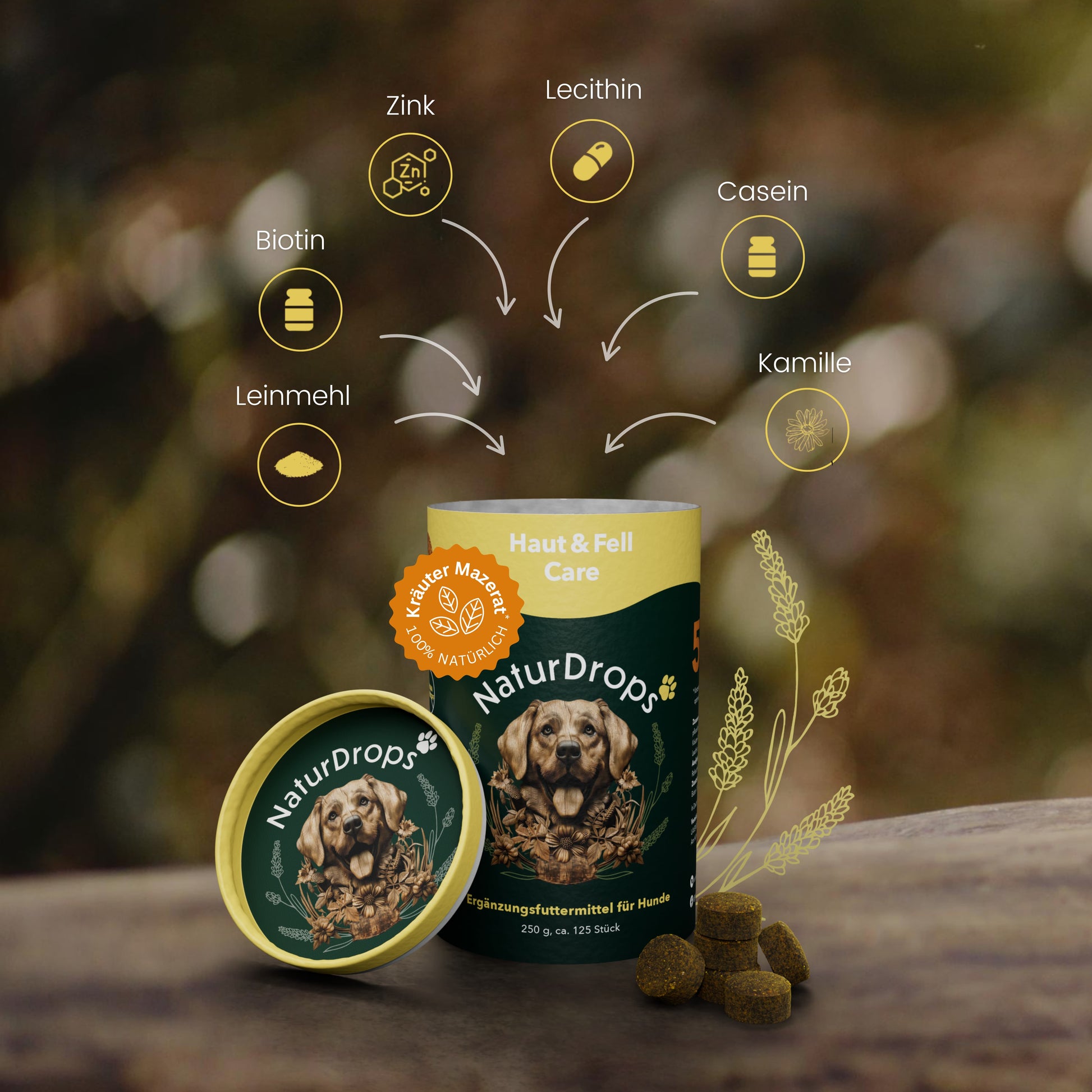 Produktabbildung von NaturDrops Haut & Fell Care – geöffnete Dose mit Hundemotiv im Vordergrund, daneben mehrere grünlich-braune Drops. Grafische Darstellung der enthaltenen Wirkstoffe: Zink, Lecithin, Casein, Kamille, Leinmehl und Biotin. Hintergrund mit unscharfer Naturkulisse und gelber Kräuterillustration.