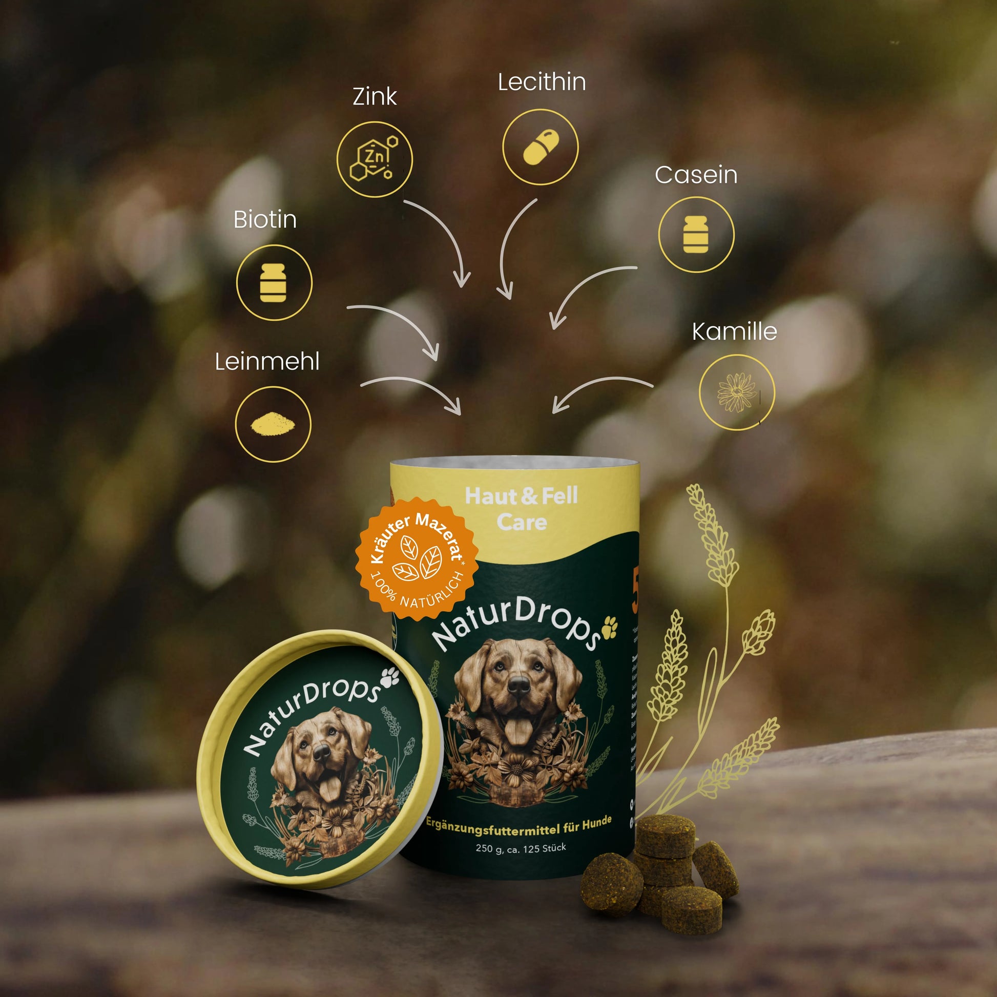 Produktabbildung von NaturDrops Haut & Fell Care – geöffnete Dose mit Hundemotiv im Vordergrund, daneben mehrere grünlich-braune Drops. Grafische Darstellung der enthaltenen Wirkstoffe: Zink, Lecithin, Casein, Kamille, Leinmehl und Biotin. Hintergrund mit unscharfer Naturkulisse und gelber Kräuterillustration.