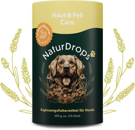 Transparentes Produktbild von Haut & Fell Care mit sichtbaren Tropfen und einem Blatt im Hintergrund, Symbol fuer natuerliche Pflege und glaenzendes Fell bei Hunden.