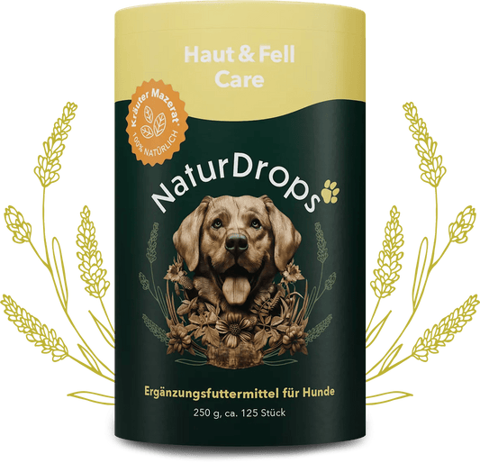 Transparentes Produktbild von Haut & Fell Care mit sichtbaren Tropfen und einem Blatt im Hintergrund, Symbol fuer natuerliche Pflege und glaenzendes Fell bei Hunden.