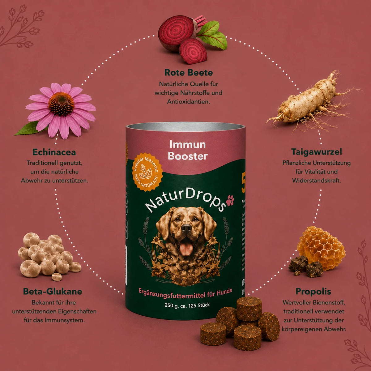 Immun Booster – Zur Stärkung des Immunsystems