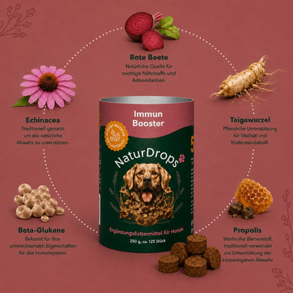 Immun Booster – Zur Stärkung des Immunsystems