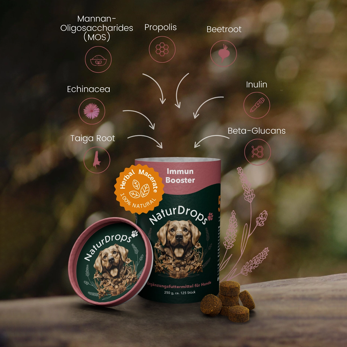 Immune Booster – To strengthen the immune system