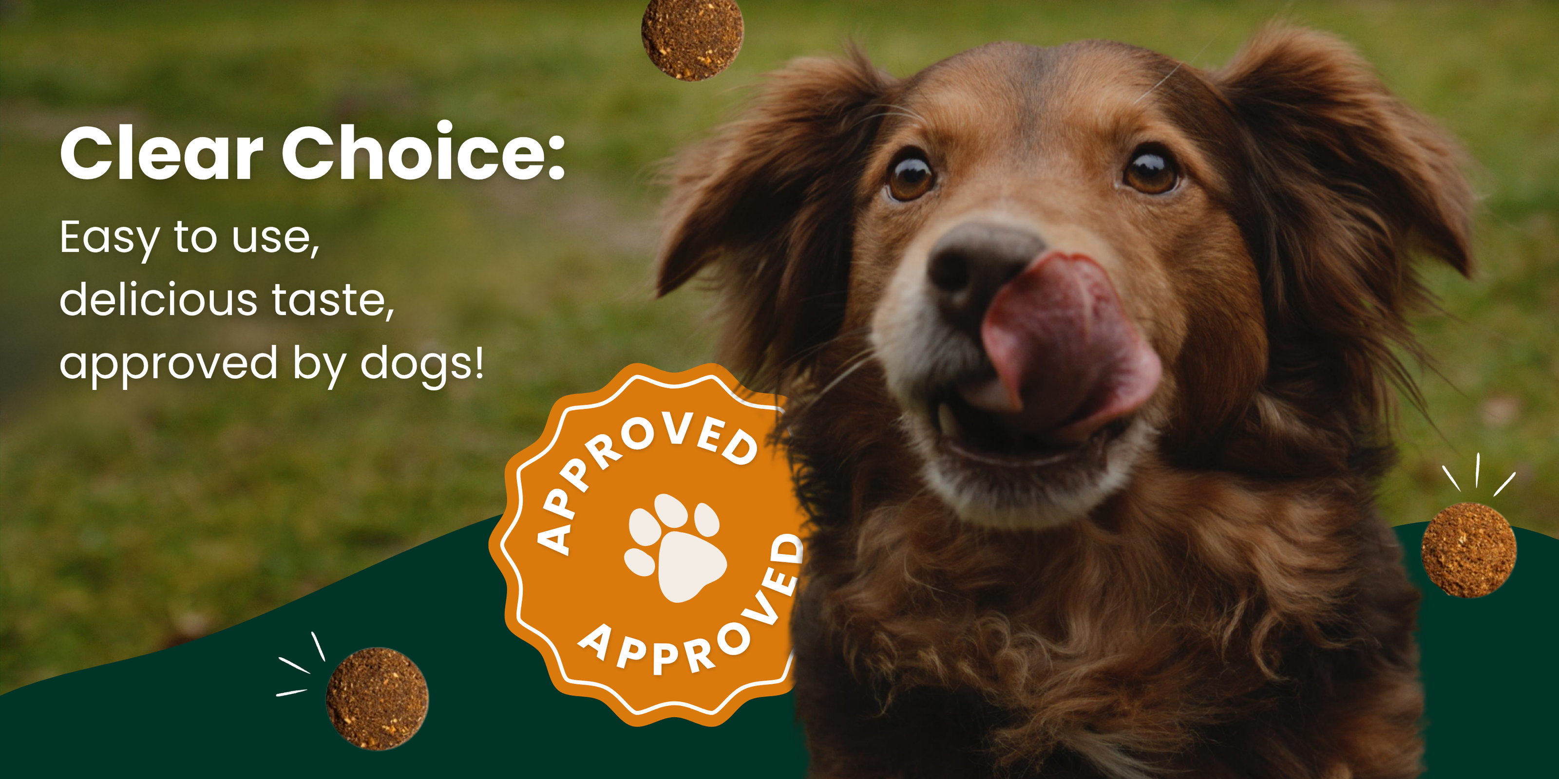 The clear choice: easy application, delicious taste – confirmed by dogs.