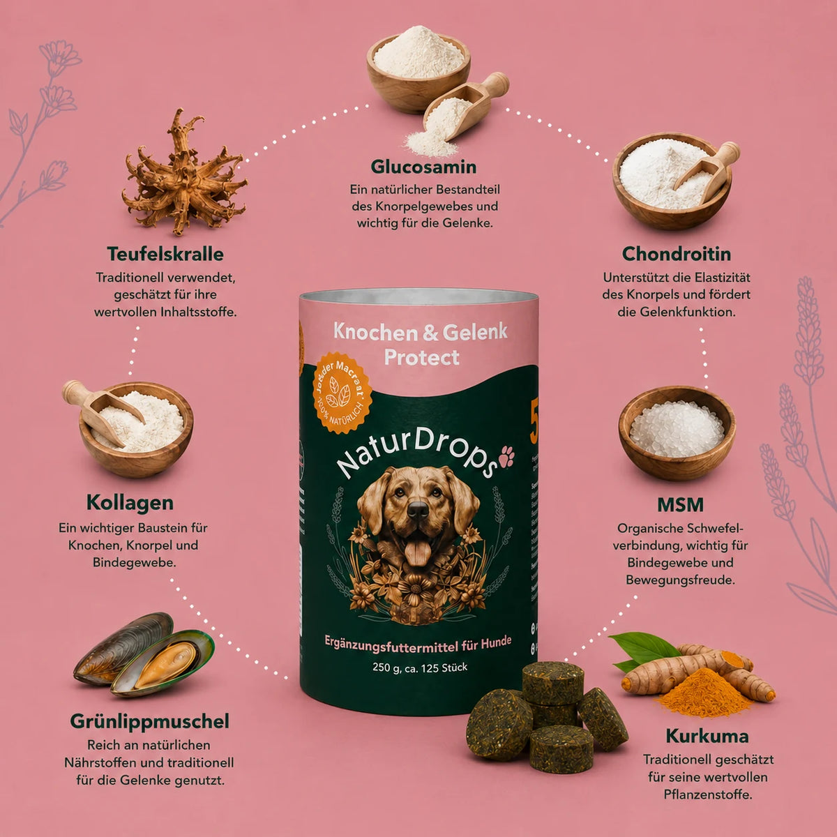 Knochen & Gelenk Protect – Für Knochen und Gelenke