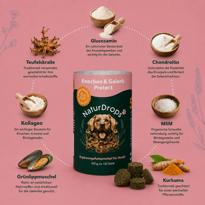 Knochen & Gelenk Protect – Für Knochen und Gelenke