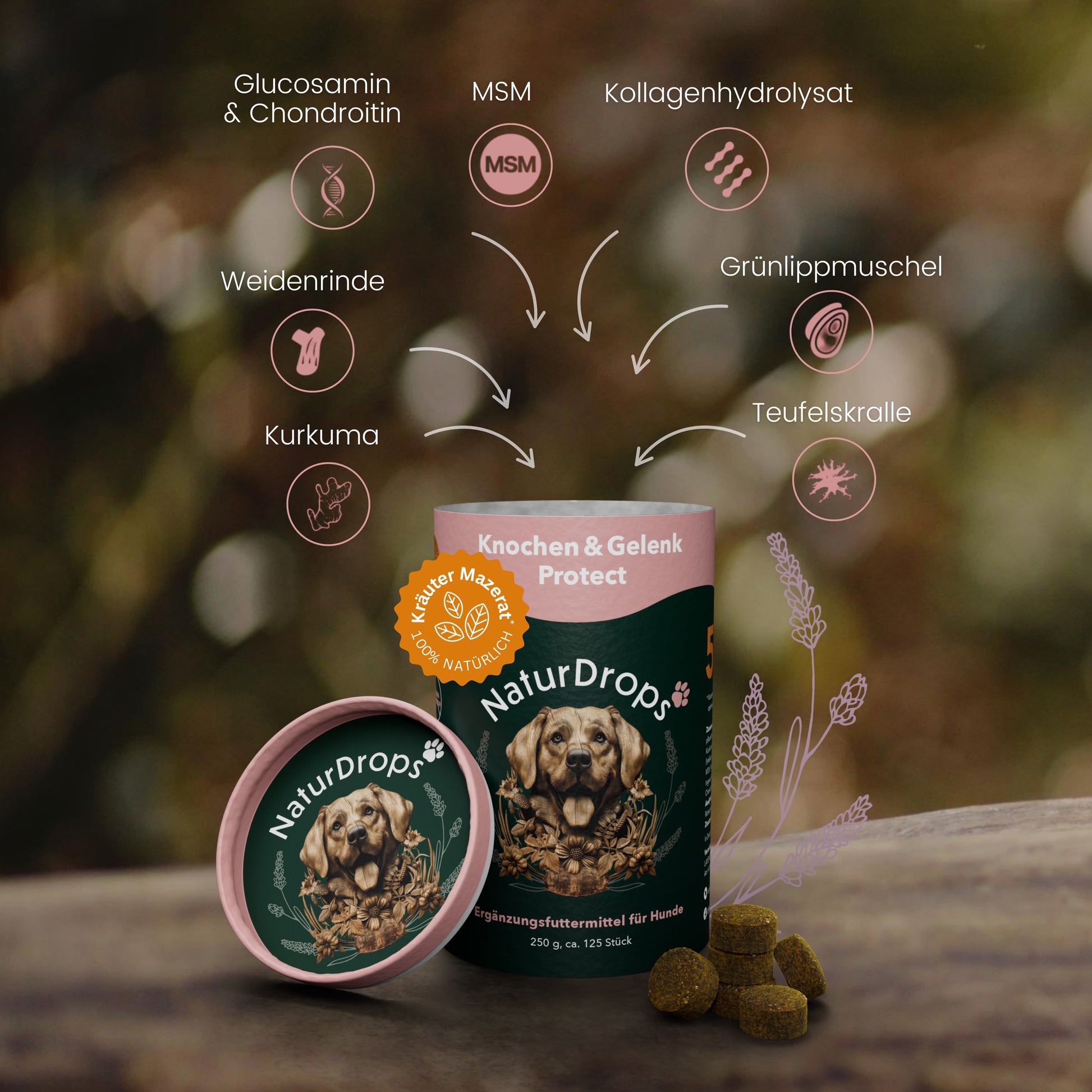 Produktabbildung von NaturDrops Knochen & Gelenk Protect – geöffnete Dose mit Hundemotiv im Vordergrund, daneben mehrere braune Drops. Grafische Darstellung der Inhaltsstoffe: Glucosamin & Chondroitin, MSM, Kollagenhydrolysat, Grünlippmuschel, Teufelskralle, Kurkuma und Weidenrinde. Hintergrund mit Natur- und Kräuterillustration.