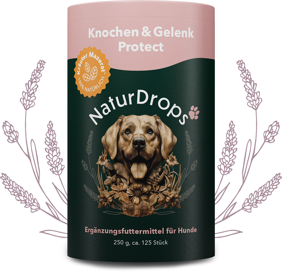 Transparentes Produktbild von Knochen & Gelenk Protect mit natürlichen Drops und Blatt-Element im Hintergrund, für gesunde Gelenke und Knochen bei Hunden.