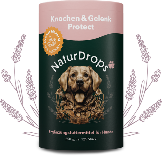 Transparentes Produktbild von Knochen & Gelenk Protect mit natürlichen Drops und Blatt-Element im Hintergrund, für gesunde Gelenke und Knochen bei Hunden.