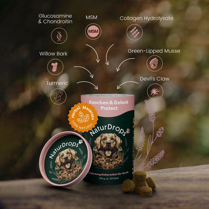 Bone & Joint Protect – Strong bones, flexible joints