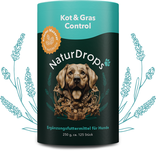Transparentes Produktbild von Knochen & Gelenk Protect mit natürlichen Drops und Blatt-Element im Hintergrund, für gesunde Gelenke und Knochen bei Hunden.