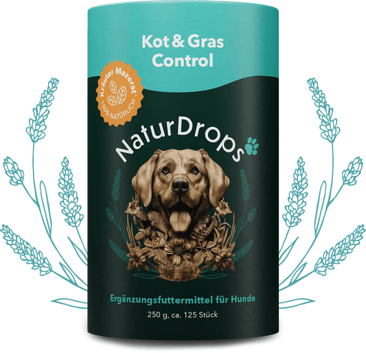 Transparentes Produktbild von Knochen & Gelenk Protect mit natürlichen Drops und Blatt-Element im Hintergrund, für gesunde Gelenke und Knochen bei Hunden.