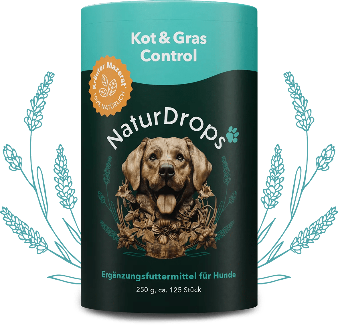 Transparentes Produktbild von Knochen & Gelenk Protect mit natürlichen Drops und Blatt-Element im Hintergrund, für gesunde Gelenke und Knochen bei Hunden.
