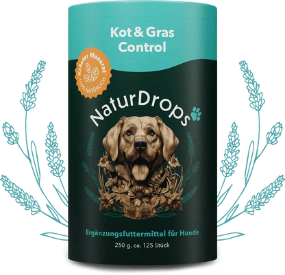 Transparentes Produktbild von Knochen & Gelenk Protect mit natürlichen Drops und Blatt-Element im Hintergrund, für gesunde Gelenke und Knochen bei Hunden.