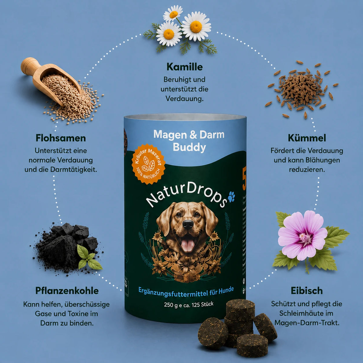 Magen & Darm Buddy – Bei empfindlichem Magen