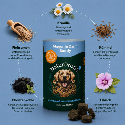 Magen & Darm Buddy – Bei empfindlichem Magen