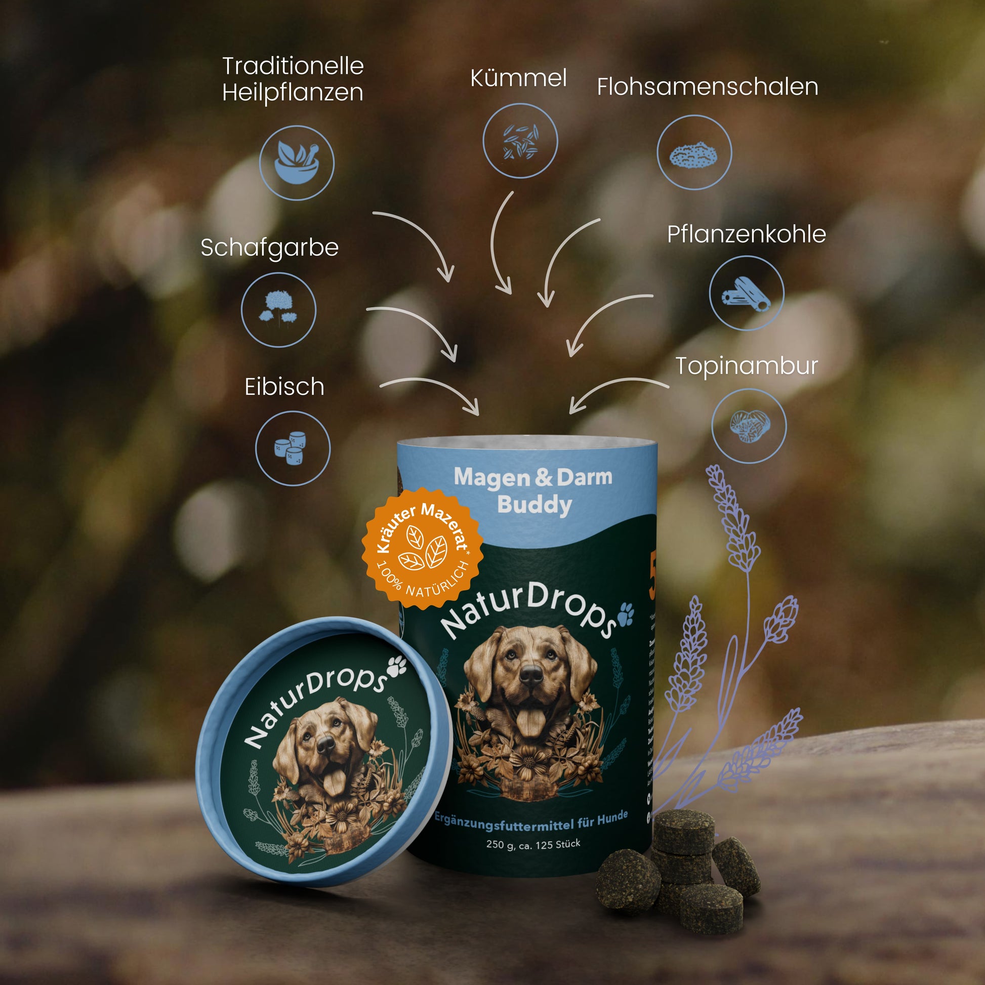 Produktabbildung von NaturDrops Magen & Darm Buddy – geöffnete Dose mit Hundemotiv, daneben dunkelgrüne Drops. Grafische Darstellung der Inhaltsstoffe: traditionelle Heilpflanzen, Schafgarbe, Eibisch, Kümmel, Flohsamenschalen, Pflanzenkohle und Topinambur. Naturhintergrund mit Kräuterillustrationen.