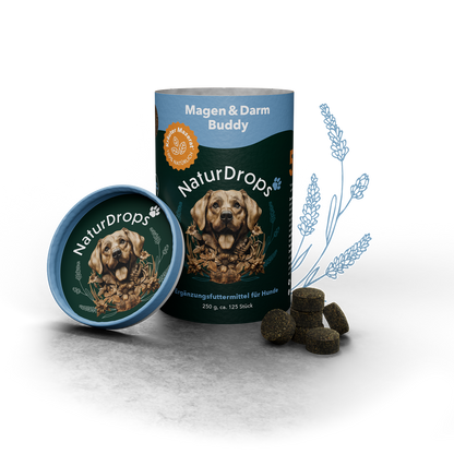 Transparentes Produktbild von Magen & Darm Buddy mit Drops und Blatt, natürliche Hilfe für die Magen-Darm-Gesundheit von Hunden.