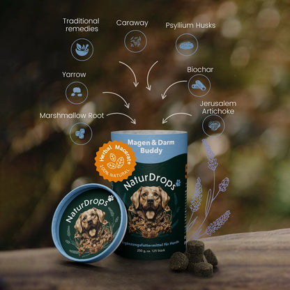 Tummy & Gut Buddy – The basis for more well-being