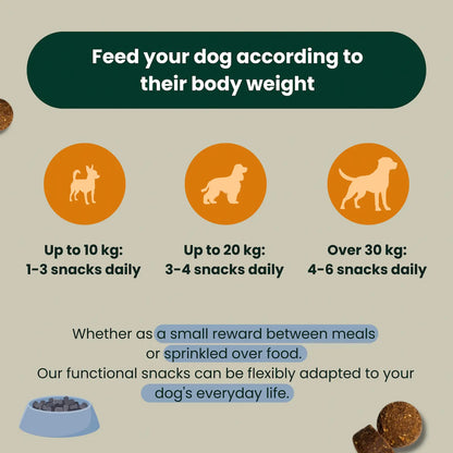 Tummy & Gut Buddy – The basis for more well-being