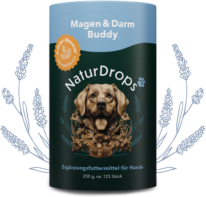 Zahn & Maul Hero Spray auf transparentem Hintergrund mit Blatt im Hintergrund, für natuerliche Maulhygiene und Zahnpflege bei Hunden.