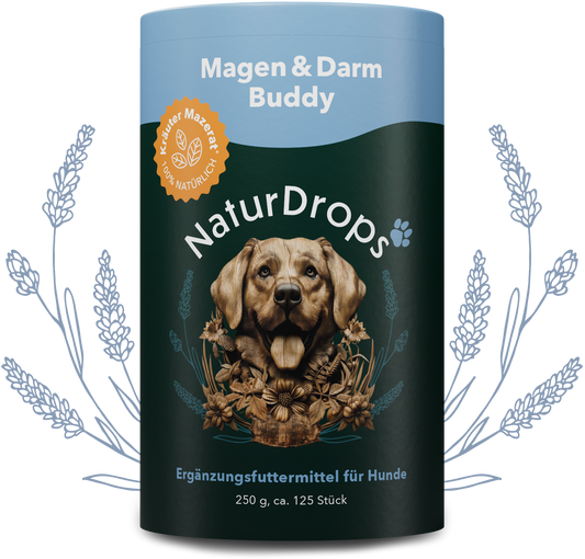 Zahn & Maul Hero Spray auf transparentem Hintergrund mit Blatt im Hintergrund, für natuerliche Maulhygiene und Zahnpflege bei Hunden.