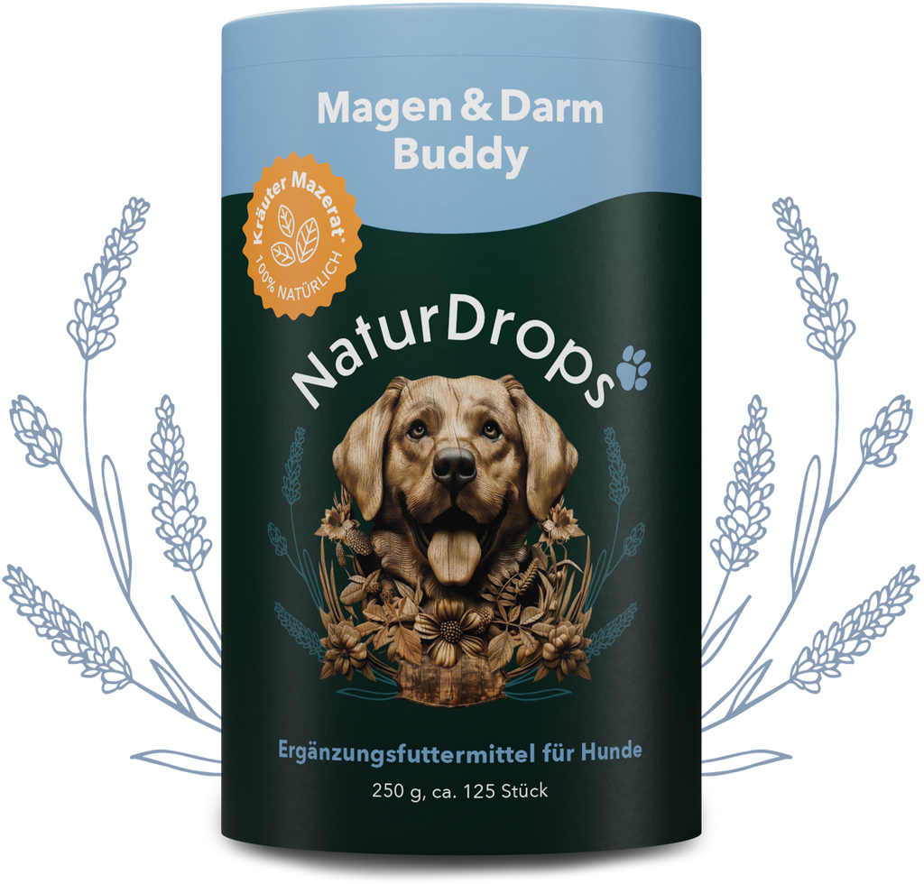 Magen & Darm Buddy – Die Basis für mehr Wohlbefinden