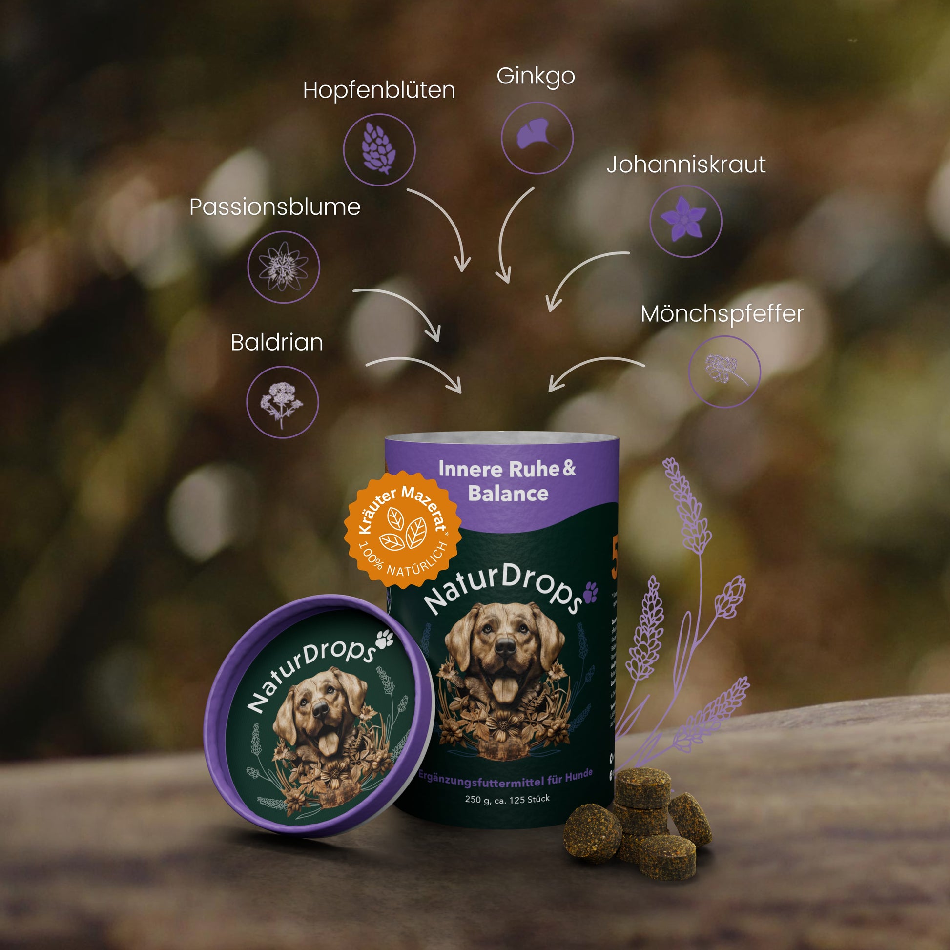 Produktabbildung von NaturDrops Innere Ruhe & Balance – geöffnete Dose mit Hundemotiv im Vordergrund, daneben mehrere dunkelbraune Drops. Grafische Darstellung der natürlichen Inhaltsstoffe: Hopfenblüten, Passionsblume, Baldrian, Ginkgo, Johanniskraut und Mönchspfeffer. Hintergrund in natürlicher, unscharfer Waldoptik mit stilisierten Kräuterillustrationen.
