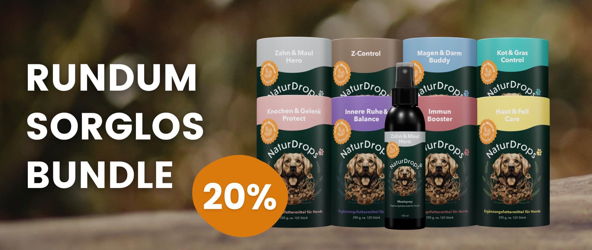 Banner mit 20 % Rabatt auf das Rundum-sorglos-Bundle