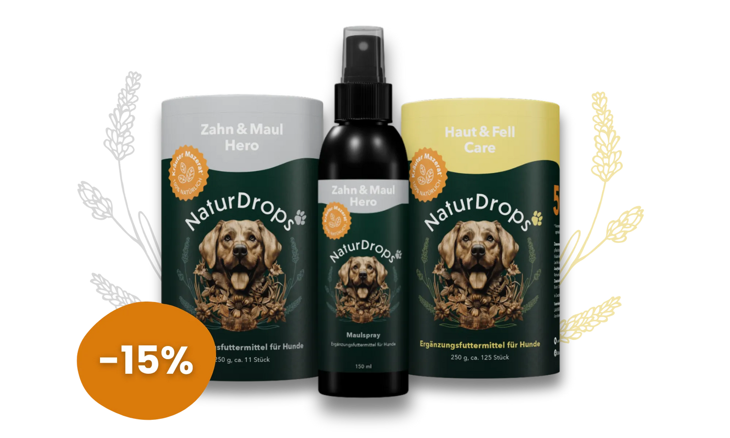 Spa Ritual Bundle für Hunde – Natürliche Haut-, Fell- & Maulpflege