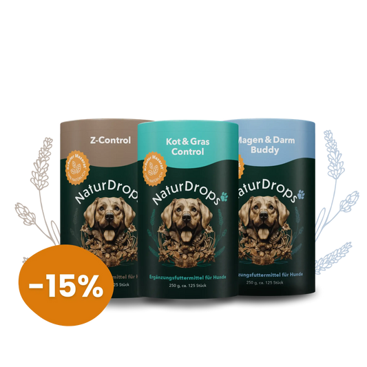 Starte optimal - mit dem Welcome Bundle aus den drei wichtigen funktionalen Snacks für deinen Vierbeiner.