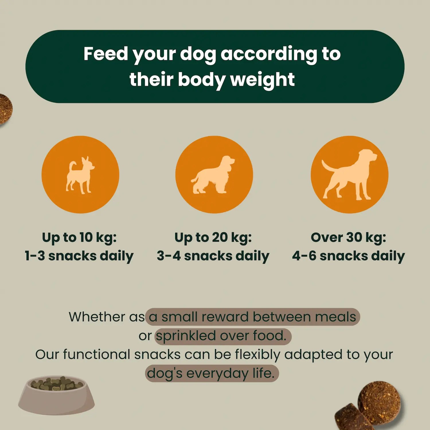 Z-Control: Natural tick protection for your dog