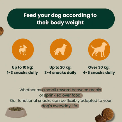 Z-Control: Natural tick protection for your dog