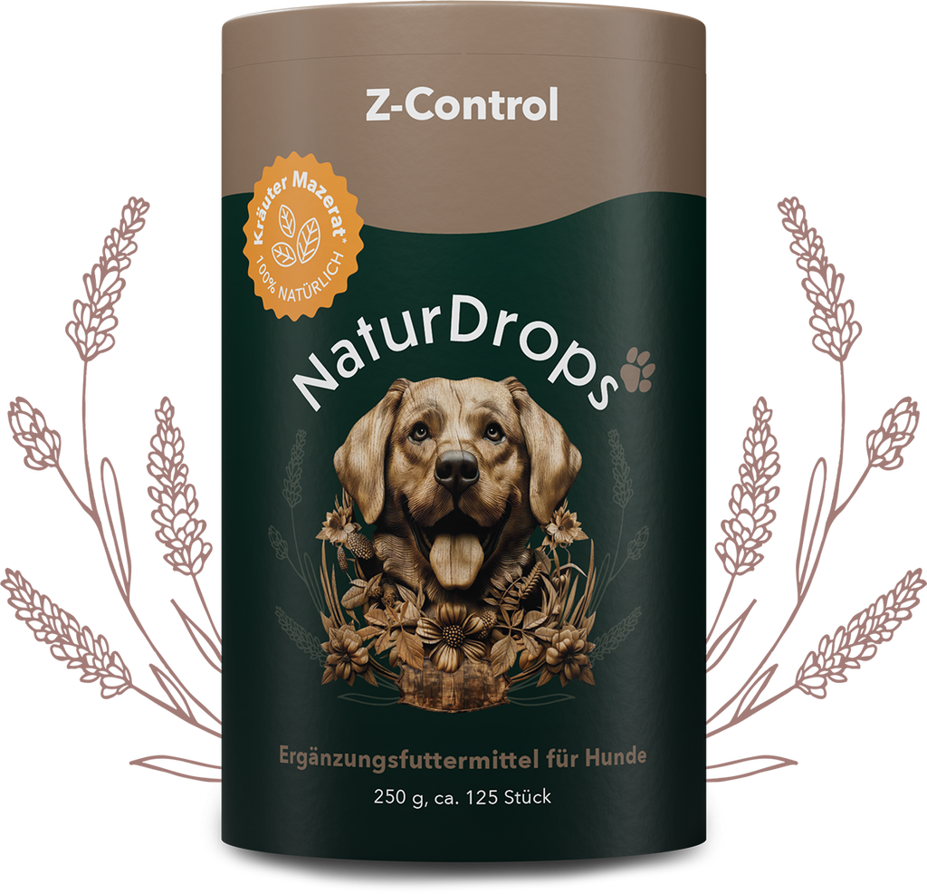 Z-Control – Natürlicher Zeckenschutz für deinen Hund